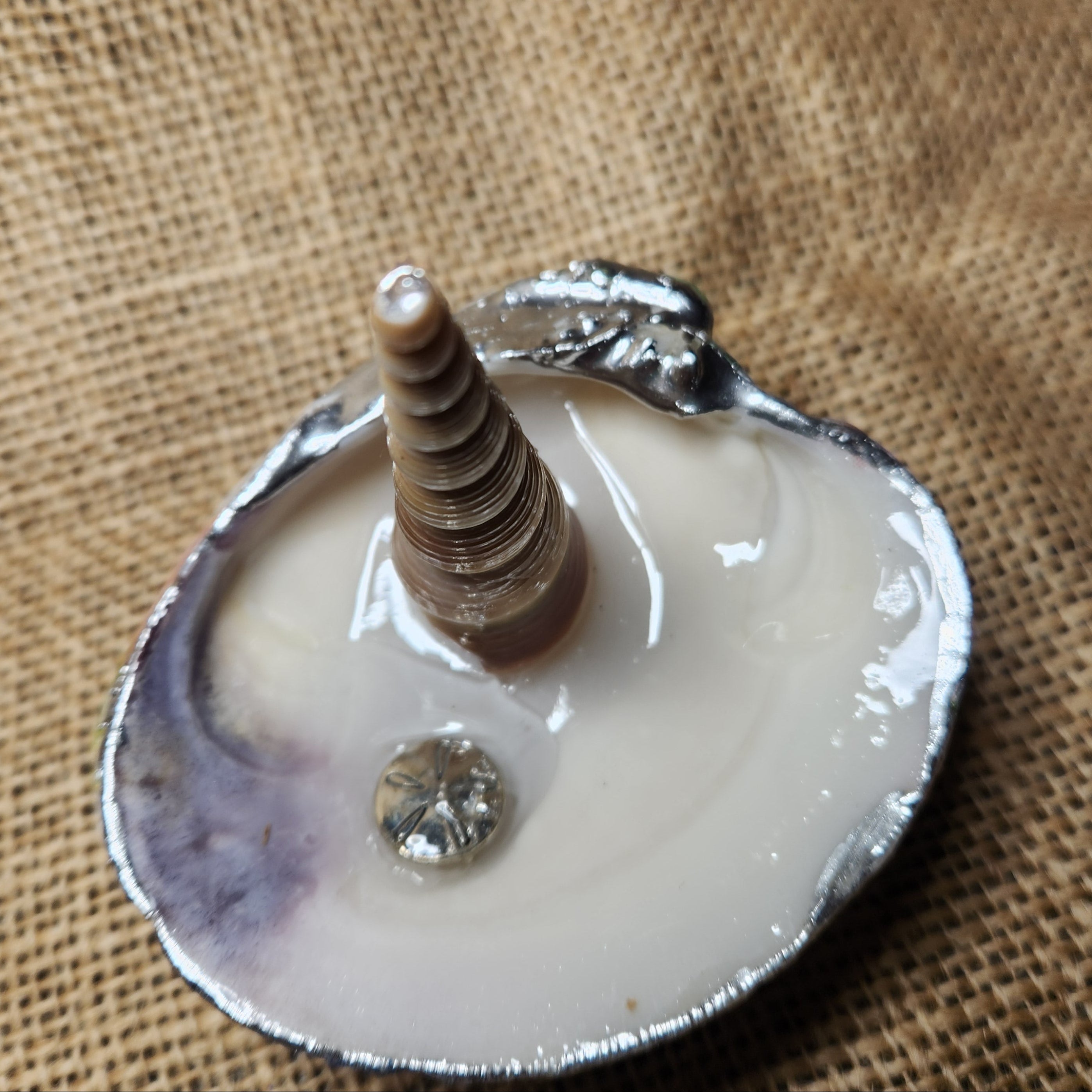Coastal Shell Jewelry Tray