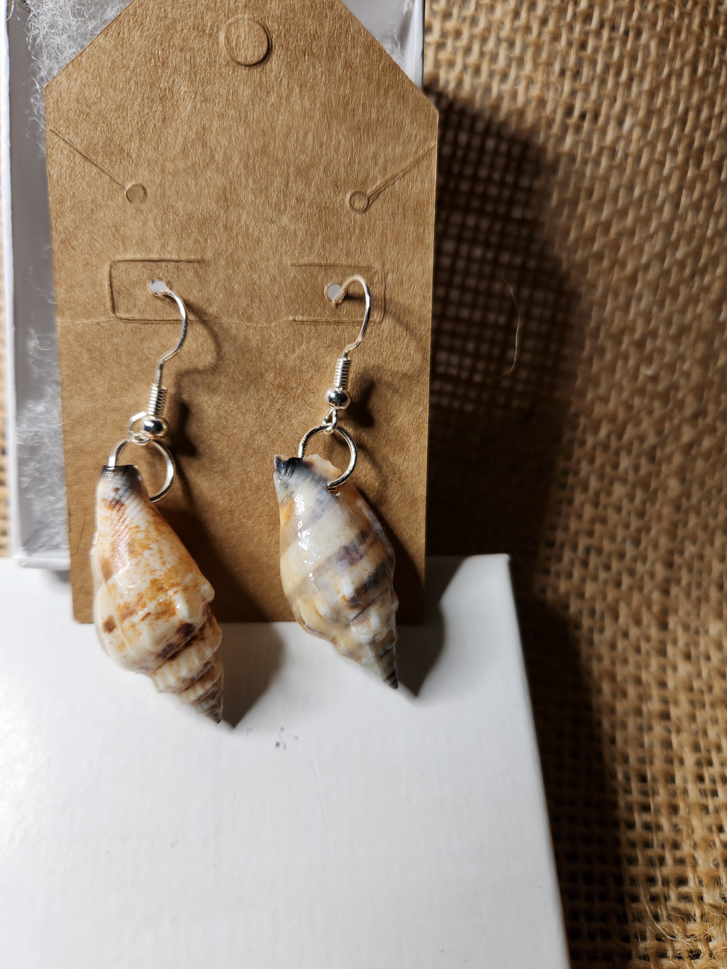 Spiral Shell Drop Earrings — Resin-Coated Natural Seashell