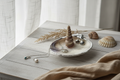 Coastal Shell Jewelry Tray
